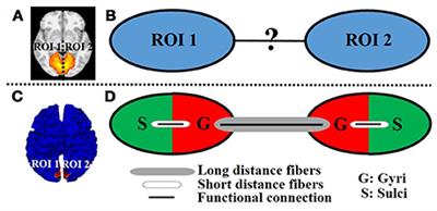 A Cortical Folding Pattern-Guided Model of Intrinsic Functional Brain Networks in Emotion Processing